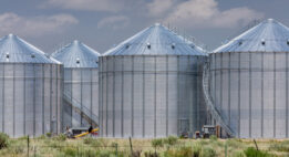 4 grain bins